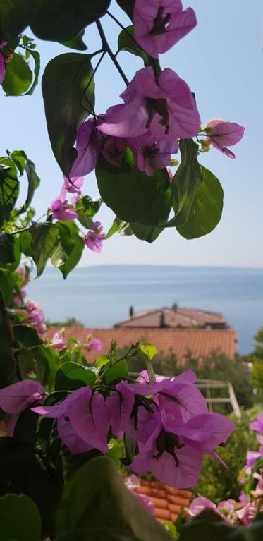 Summer Lounge Apartment Trogir Exterior foto